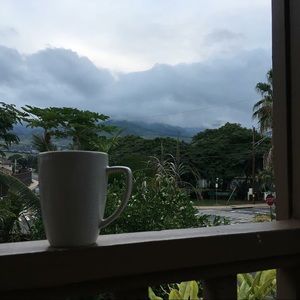 Meet your Posher, Robin